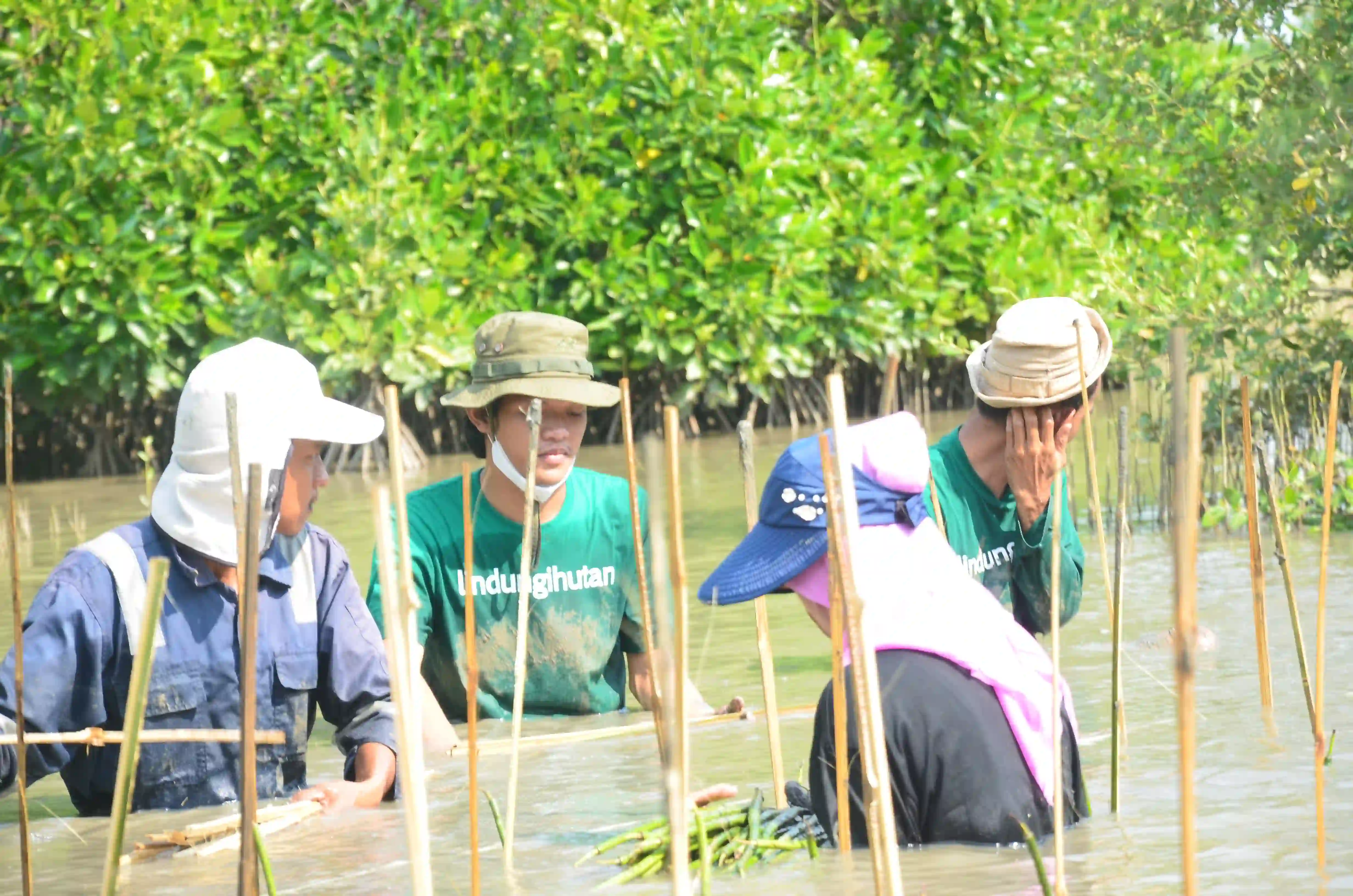 Sedekah Pohon LindungiHutan